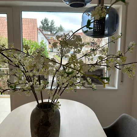 Apartament Deluxe-family Mit Terrasse, Kueche & Parkplatz Offenburg